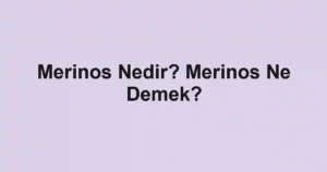 Merinos Nedir? Merinos Ne Demek?
