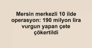 Mersin merkezli 10 ilde operasyon: 190 milyon lira vurgun yapan çete çökertildi