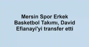 Mersin Spor Erkek Basketbol Takımı, David Efianayi'yi transfer etti