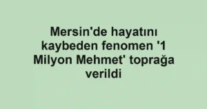 Mersin'de hayatını kaybeden fenomen '1 Milyon Mehmet' toprağa verildi