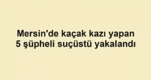 Mersin'de kaçak kazı yapan 5 şüpheli suçüstü yakalandı
