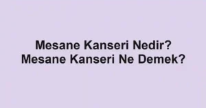 Mesane Kanseri Nedir? Mesane Kanseri Ne Demek?