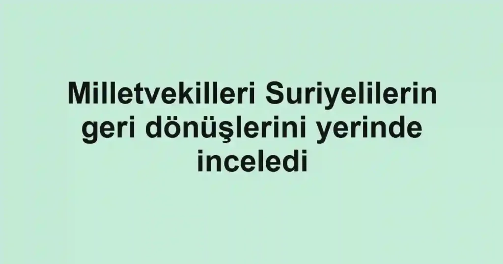 Milletvekilleri Suriyelilerin geri dönüşlerini yerinde inceledi