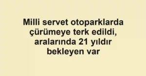 Milli servet otoparklarda çürümeye terk edildi, aralarında 21 yıldır bekleyen var