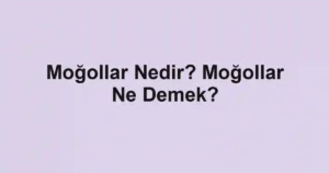 Moğollar Nedir? Moğollar Ne Demek?