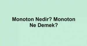 Monoton Nedir? Monoton Ne Demek?