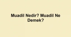 Muadil Nedir? Muadil Ne Demek?