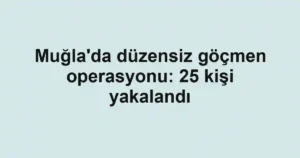 Muğla'da düzensiz göçmen operasyonu: 25 kişi yakalandı