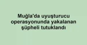 Muğla'da uyuşturucu operasyonunda yakalanan şüpheli tutuklandı