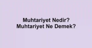 Muhtariyet Nedir? Muhtariyet Ne Demek?