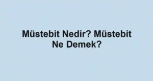 Müstebit Nedir? Müstebit Ne Demek?