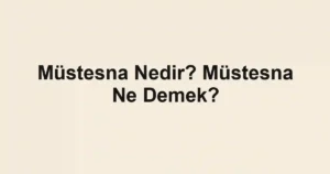Müstesna Nedir? Müstesna Ne Demek?