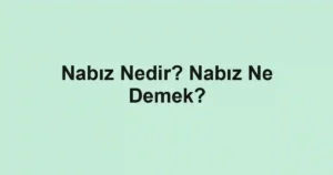 Nabız Nedir? Nabız Ne Demek?