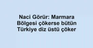 Naci Görür: Marmara Bölgesi çökerse bütün Türkiye diz üstü çöker