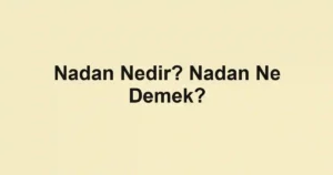Nadan Nedir? Nadan Ne Demek?