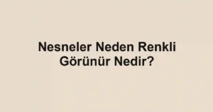 Nesneler Neden Renkli Görünür Nedir?