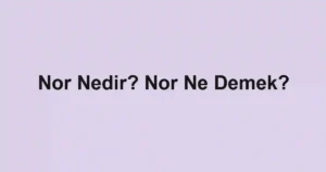 Nor Nedir? Nor Ne Demek?