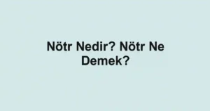 Nötr Nedir? Nötr Ne Demek?