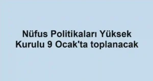 Nüfus Politikaları Yüksek Kurulu 9 Ocak'ta toplanacak