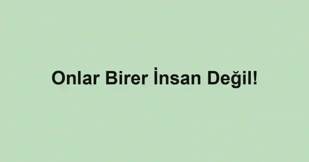 Onlar Birer İnsan Değil!