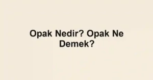 Opak Nedir? Opak Ne Demek?