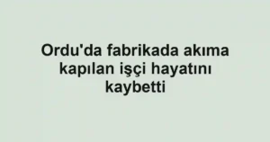 Ordu'da fabrikada akıma kapılan işçi hayatını kaybetti