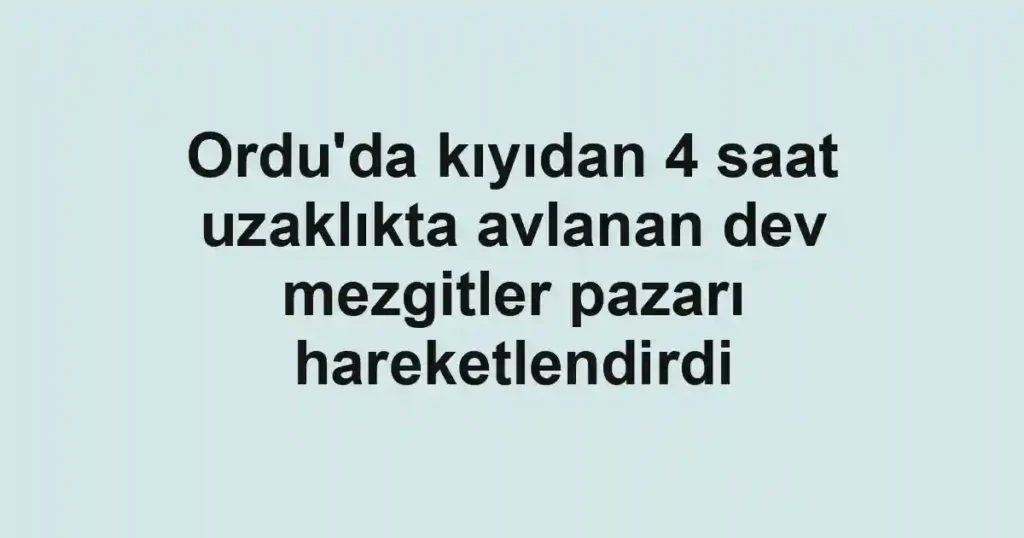 Ordu'da kıyıdan 4 saat uzaklıkta avlanan dev mezgitler pazarı hareketlendirdi