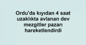 Ordu'da kıyıdan 4 saat uzaklıkta avlanan dev mezgitler pazarı hareketlendirdi
