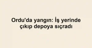 Ordu'da yangın: İş yerinde çıkıp depoya sıçradı