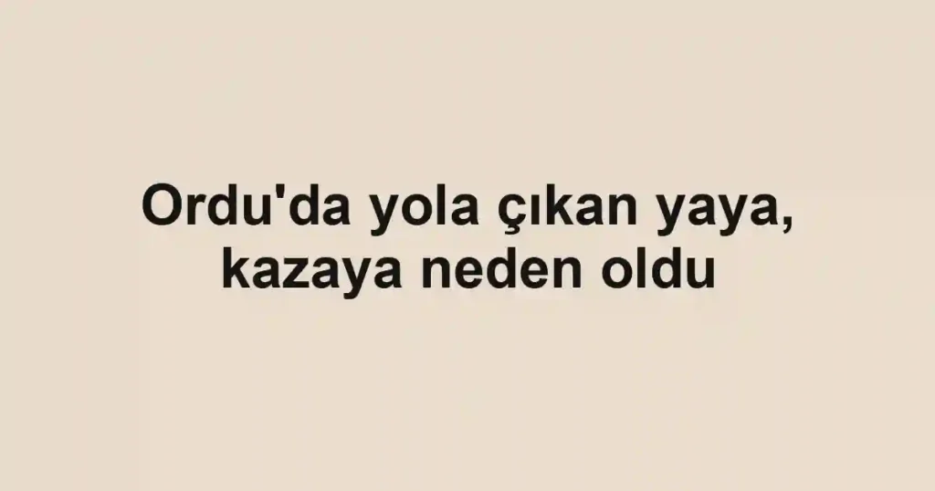 Ordu'da yola çıkan yaya, kazaya neden oldu