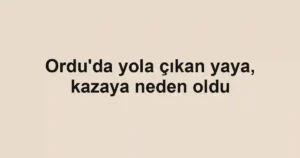 Ordu'da yola çıkan yaya, kazaya neden oldu