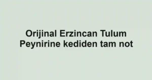 Orijinal Erzincan Tulum Peynirine kediden tam not