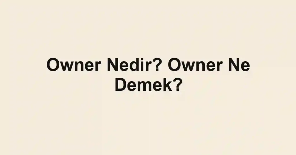 Owner Nedir? Owner Ne Demek?