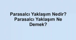 Parasalcı Yaklaşım Nedir? Parasalcı Yaklaşım Ne Demek?