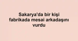 Sakarya'da bir kişi fabrikada mesai arkadaşını vurdu