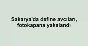 Sakarya'da define avcıları, fotokapana yakalandı