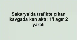 Sakarya'da trafikte çıkan kavgada kan aktı: 1'i ağır 2 yaralı