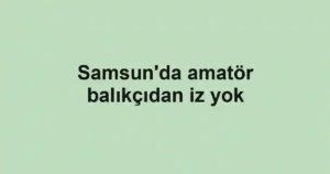 Samsun'da amatör balıkçıdan iz yok