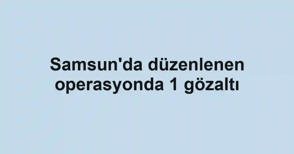 Samsun'da düzenlenen operasyonda 1 gözaltı