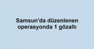 Samsun'da düzenlenen operasyonda 1 gözaltı