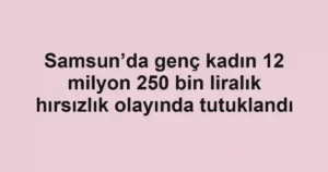 Samsun’da genç kadın 12 milyon 250 bin liralık hırsızlık olayında tutuklandı