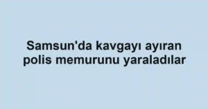 Samsun'da kavgayı ayıran polis memurunu yaraladılar