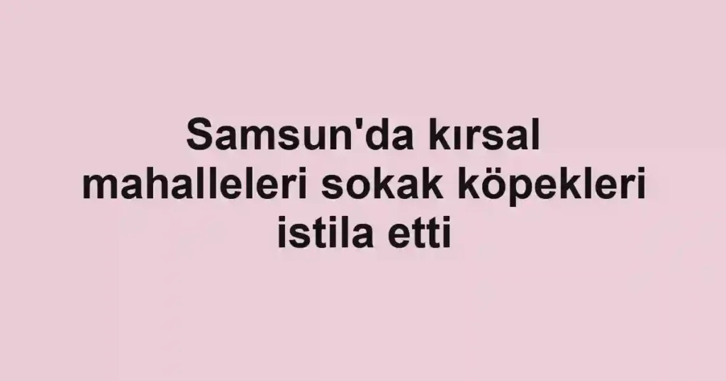 Samsun'da kırsal mahalleleri sokak köpekleri istila etti