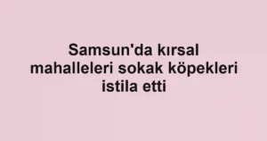 Samsun'da kırsal mahalleleri sokak köpekleri istila etti