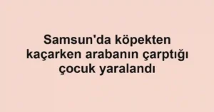Samsun'da köpekten kaçarken arabanın çarptığı çocuk yaralandı