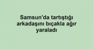 Samsun'da tartıştığı arkadaşını bıçakla ağır yaraladı