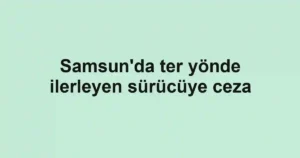 Samsun'da ter yönde ilerleyen sürücüye ceza