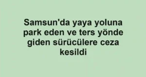 Samsun'da yaya yoluna park eden ve ters yönde giden sürücülere ceza kesildi