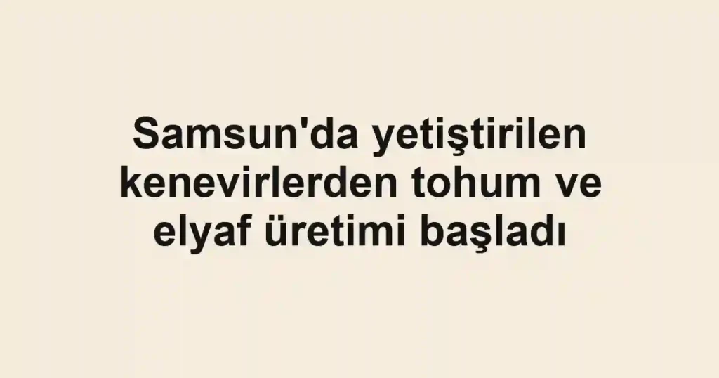 Samsun'da yetiştirilen kenevirlerden tohum ve elyaf üretimi başladı