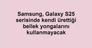 Samsung, Galaxy S25 serisinde kendi ürettiği bellek yongalarını kullanmayacak